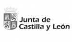 junta-castilla-leon