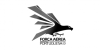 força aerea portugal logo